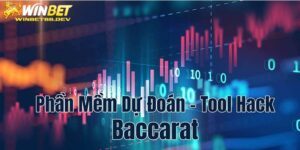 tool dự đoán baccarat